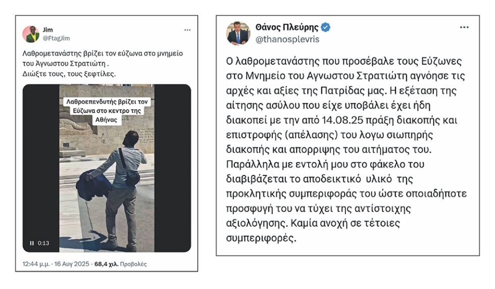 anartisi plevri