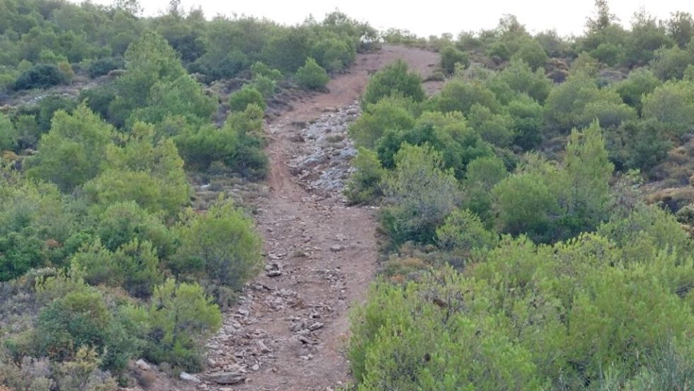 Συνεχείς διανοίξεις διαδρομών στην Πεντέλη για τις ανάγκες του παράνομου μηχανοκίνητου αθλητισμού
