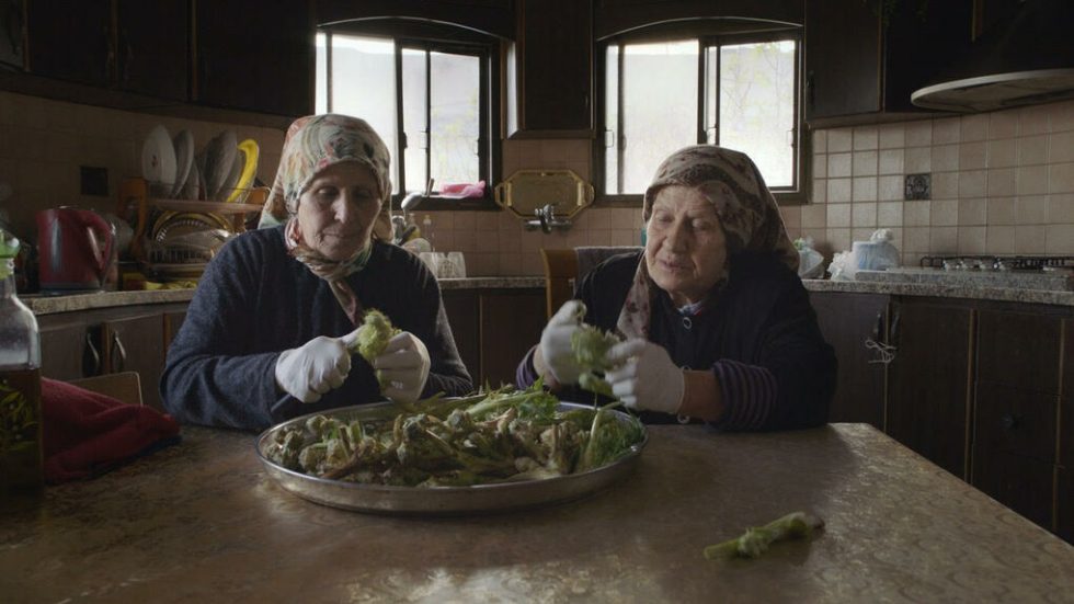 «Foragers»