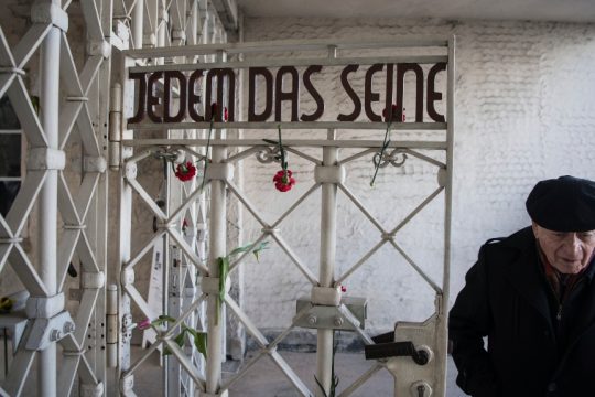 Buchenwald_1020