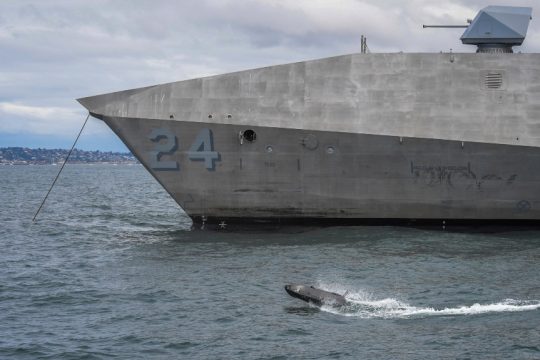 USA_Navy_1020