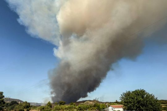 Φωτιά στο Χελιδόνι της Αρχαίας Ολυμπίας