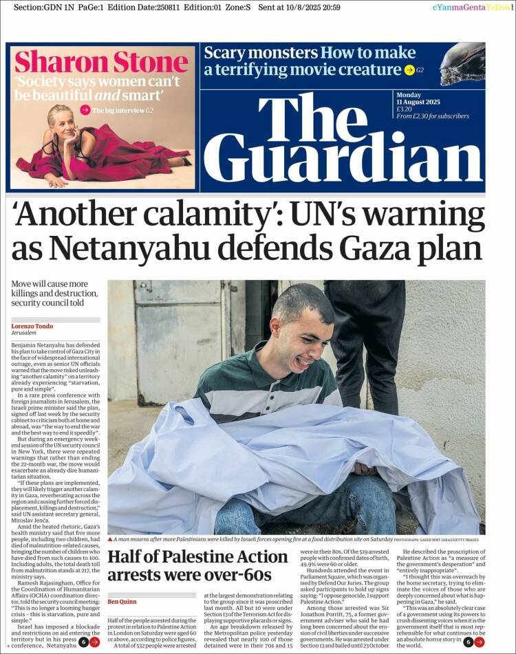 the guardian