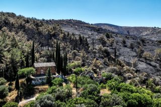 Καμένα δάση από την καταστροφική πυρκαγιά στην Χίο