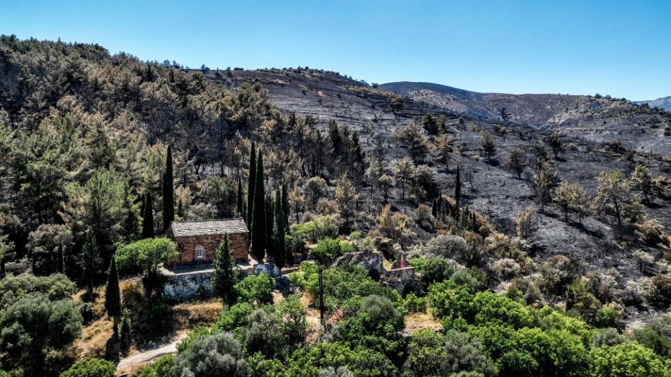 Καμένα δάση από την καταστροφική πυρκαγιά στην Χίο