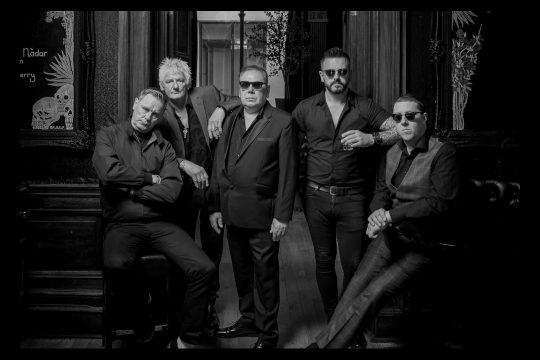 The Godfathers