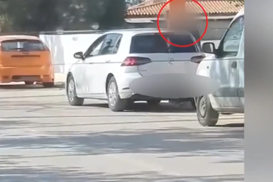 video-ert