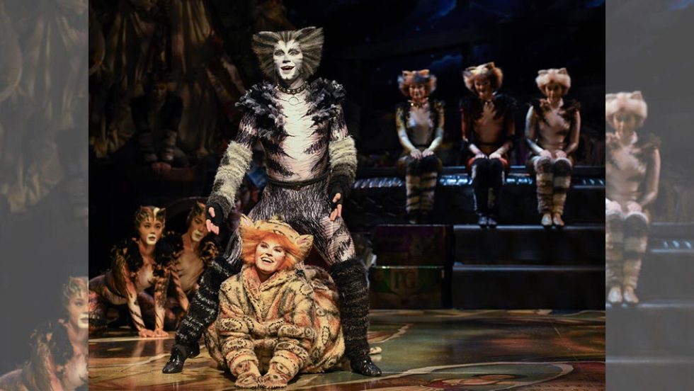 cats