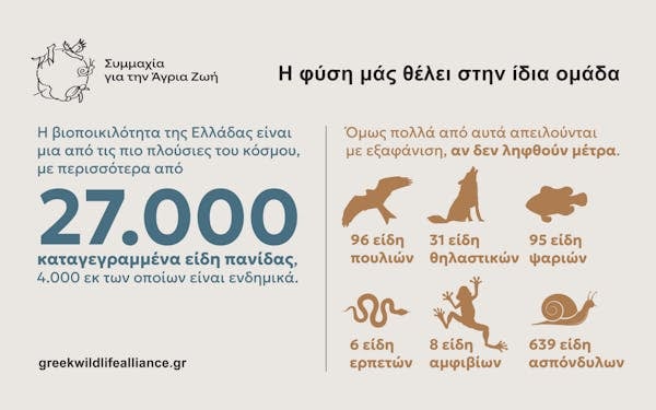 οργανώσεις για το περιβάλλον