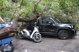 Δέντρο ατύχημα