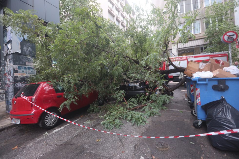 Δέντρο ατύχημα