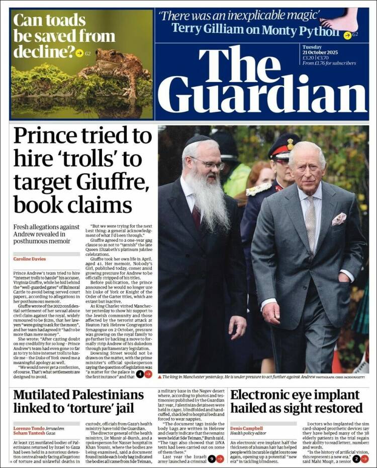 the guardian