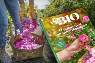 bio