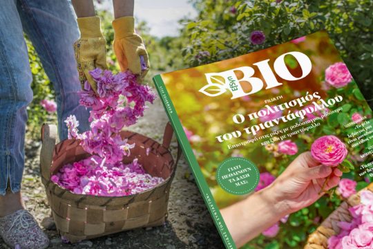 bio