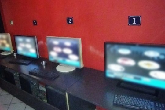 Elas_1020