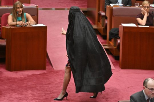 Pauline_Hanson_1020_1