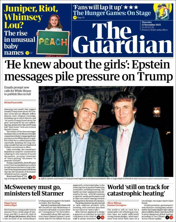the guardian