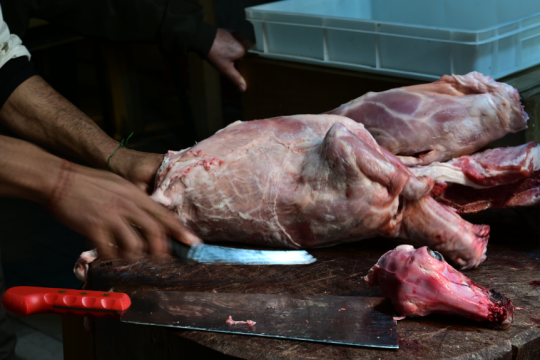 kreopolis