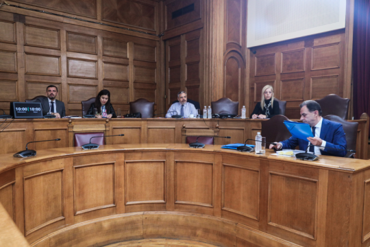 εξεταστική επιτροπή του ΟΠΕΚΕΠΕ
