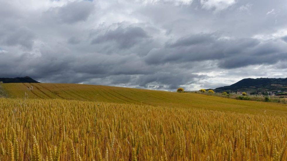rural_landscape-1