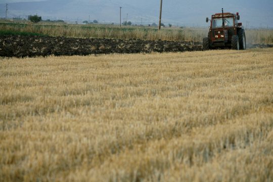 Καλλιέργειες στην Καρδίτσα