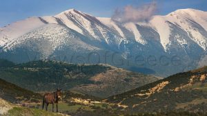 Η άγρια φύση της Ελλάδας κινδυνεύει να υποβαθμιστεί για πάντα