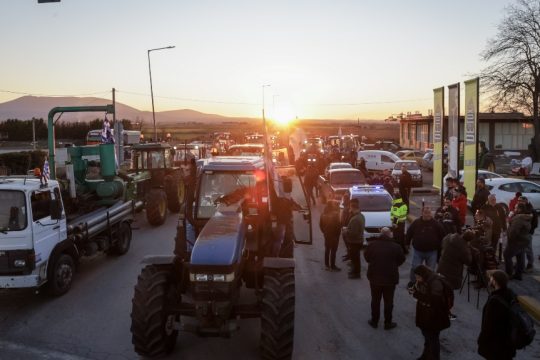 Agrotes_Larisa_Volos_1020_1