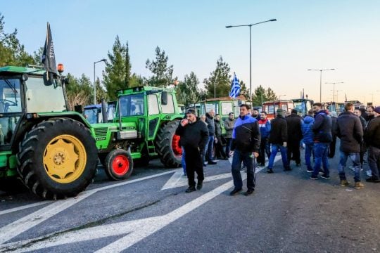 Agrotes_Mploka__1020_1
