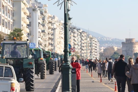 Agrotes_Thessaloniki_1020_1