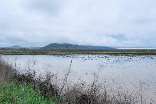 Farsala_1020