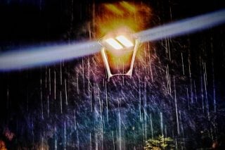 Nixta_1020