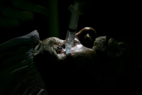 anaesthetist_1020