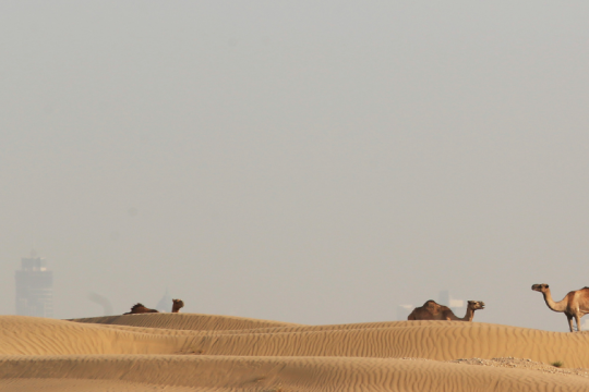 dubai