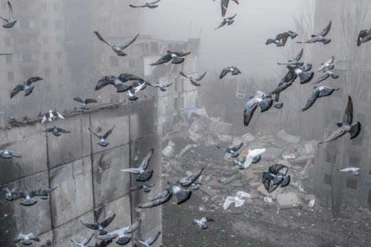 ukraine