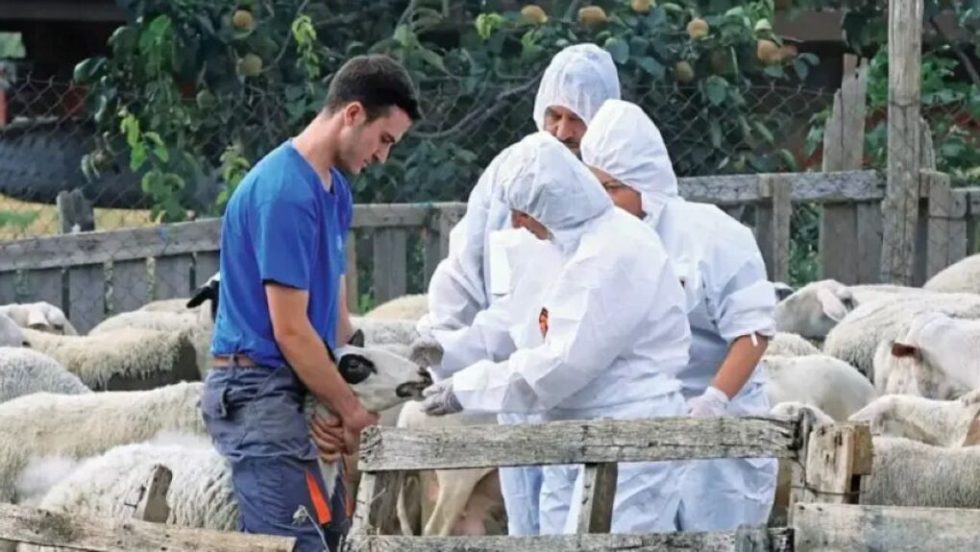 Νέος αντι-εμβολιαστικός «δεκάλογος»