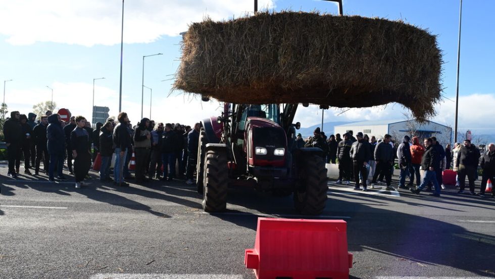 agrotes kastro voiotias 8-1-2026