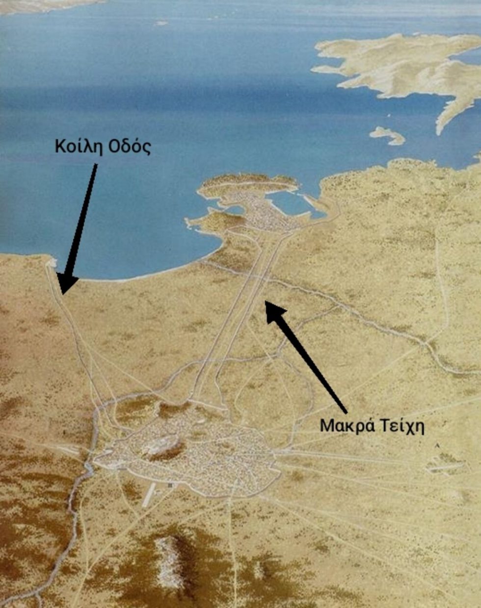 koili odos