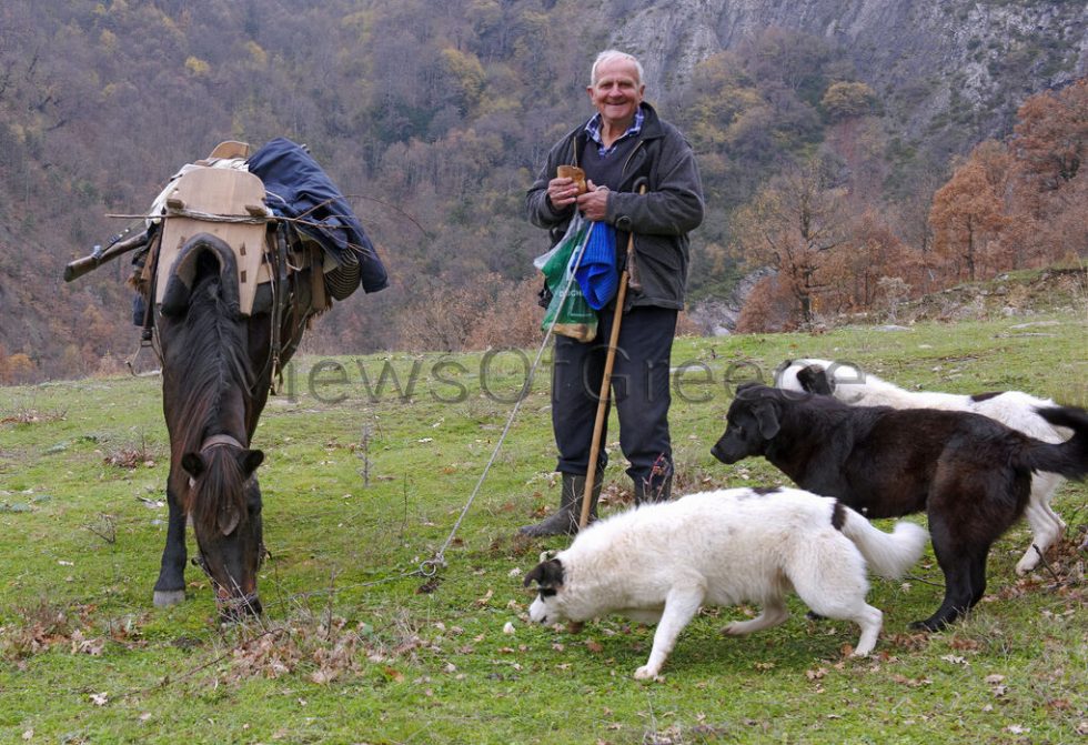 grevena