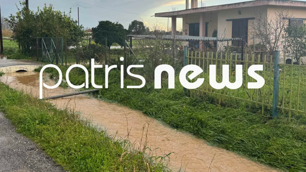 patrisnews.com
