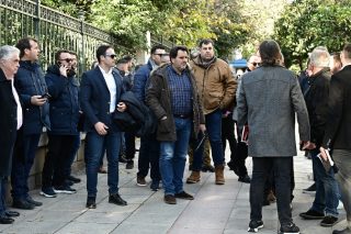 Diaspastes_Maximou_1020_1