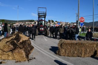 Ethniki_agrotes_1020_1