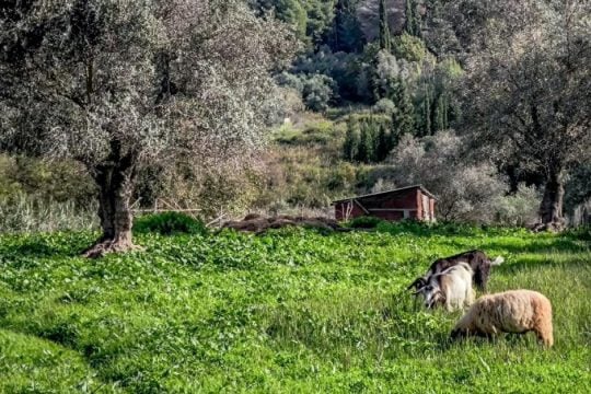 Εθνικές γαίες και βοσκοτόπια…