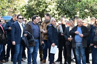 diaspastes_1020