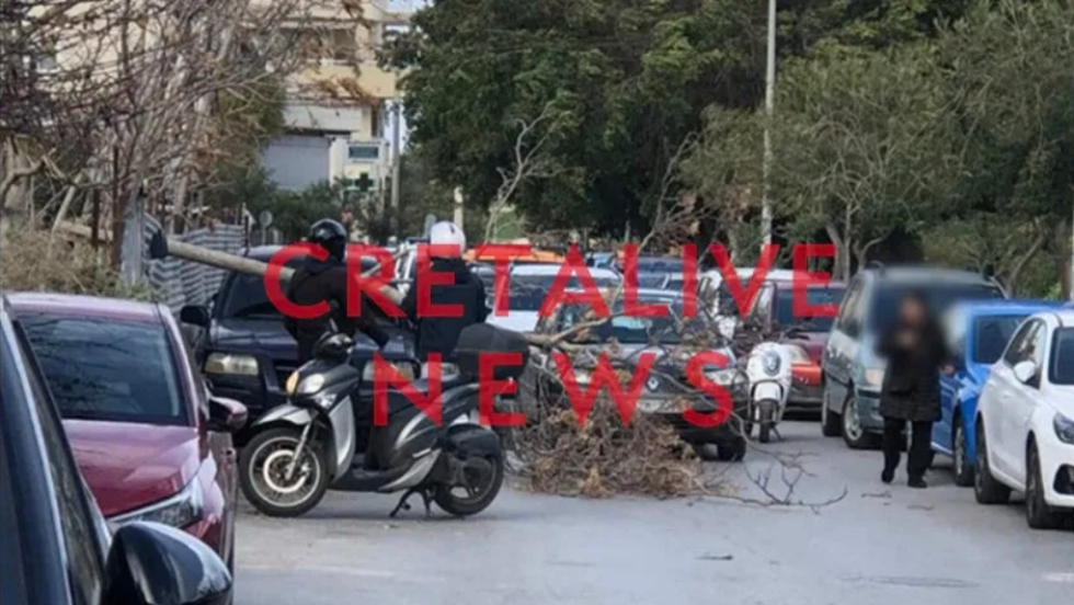 cretalive.gr