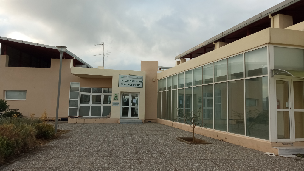 Η τράπεζα σπόρων στη Θέρμη Θεσσαλονίκης