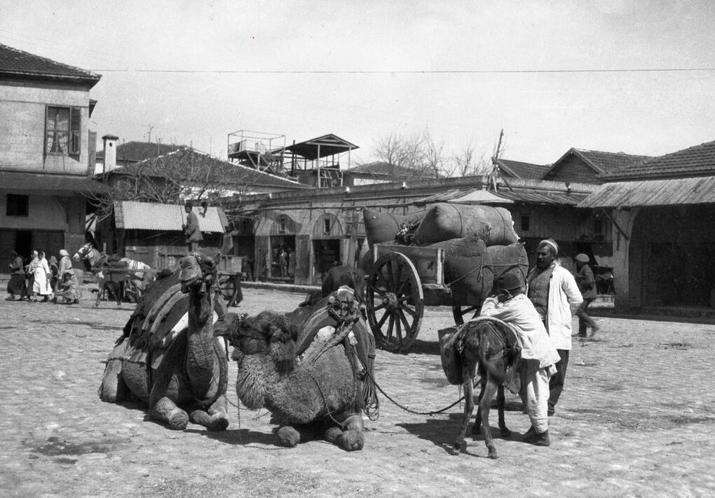 Σκηνή στον δρόμο της Μερσίνης (Τουρκία), δρομάδες και περαστικοί. Εύκαμπτο αρνητικό από τον Joseph Chamonard/EFA
