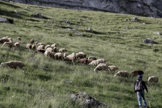 Συνεχίζεται η… στάση πληρωμών