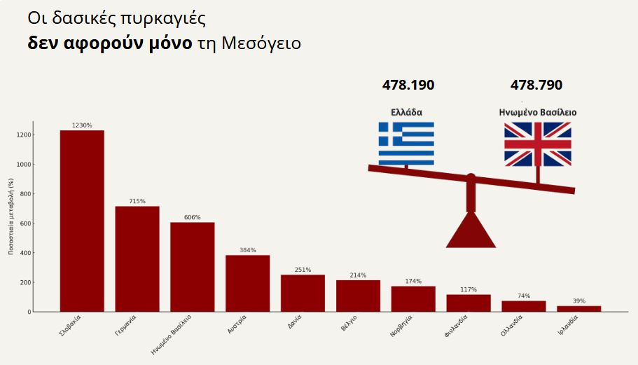 Δασικές πυρκαγιές σε διάφορες χώρες