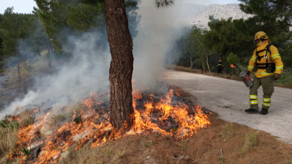 εφαρμογή προδιαγεγραμμένων καύσεων