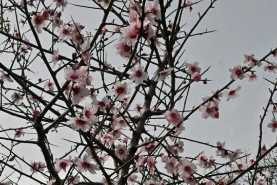 Ήλιος με «δόντια», ανέμους και λίγες βροχές